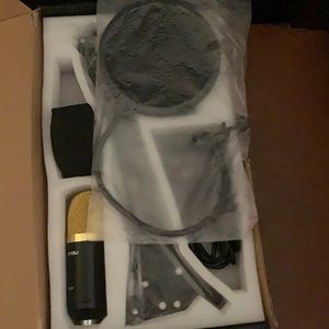 I am selling a zing you microphone